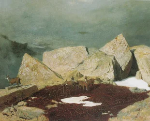 Alta montaña con gamuzas